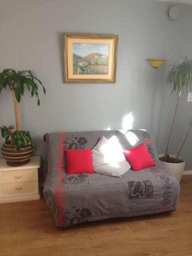 Petit Appartement Douillet Tres Bien Situe Биариц Екстериор снимка